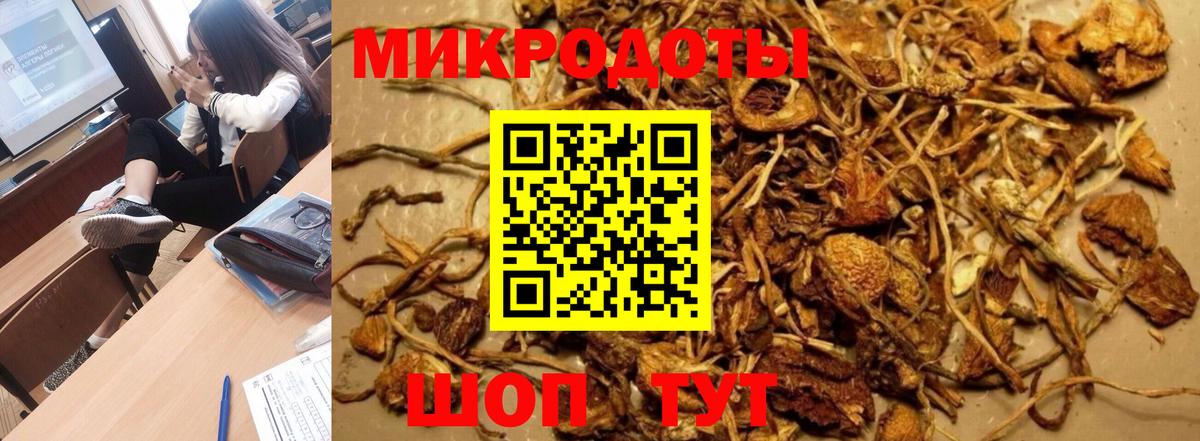 Псилоцибиновые грибы прущие грибы Жигулёвск
