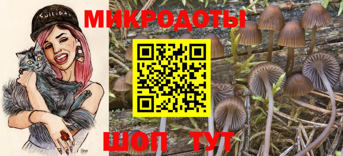 Жигулёвск  купить  цена  Вход с VPN  Галлюциногенные грибы прущие грибы  Псилоцибиновые грибы мицелий 